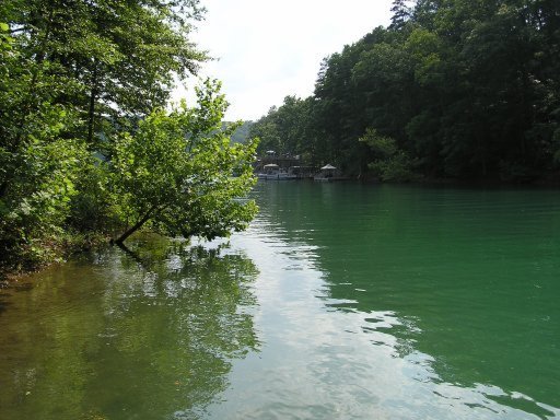 Lot 51 Cove Pointe Road La Follette, TN 37766 - Photo 5 of 18 Additional Photo