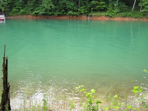 Lot 51 Cove Pointe Road La Follette, TN 37766 - Photo 8 of 18 Additional Photo