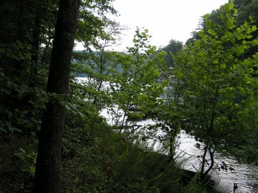 Lot 51 Cove Pointe Road La Follette, TN 37766 - Photo 9 of 18 Additional Photo