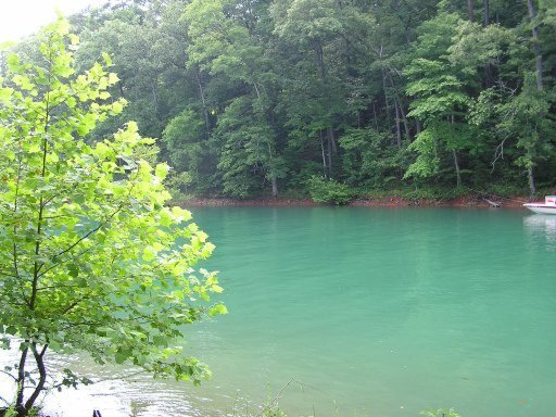Lot 51 Cove Pointe Road La Follette, TN 37766 - Photo 10 of 18 Additional Photo