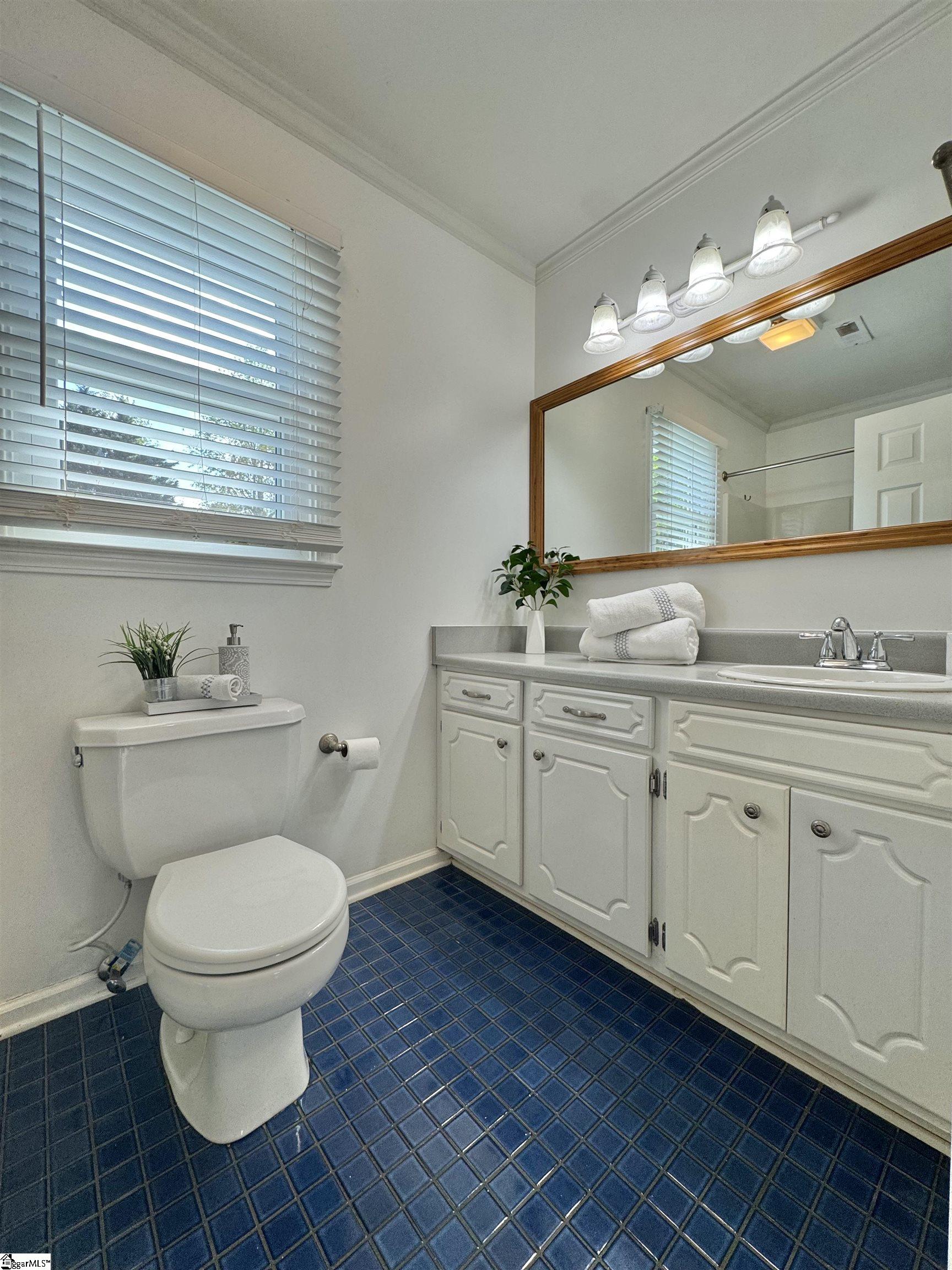 101 Long View Lane Pickens, SC 29671 - Photo 22 of 33