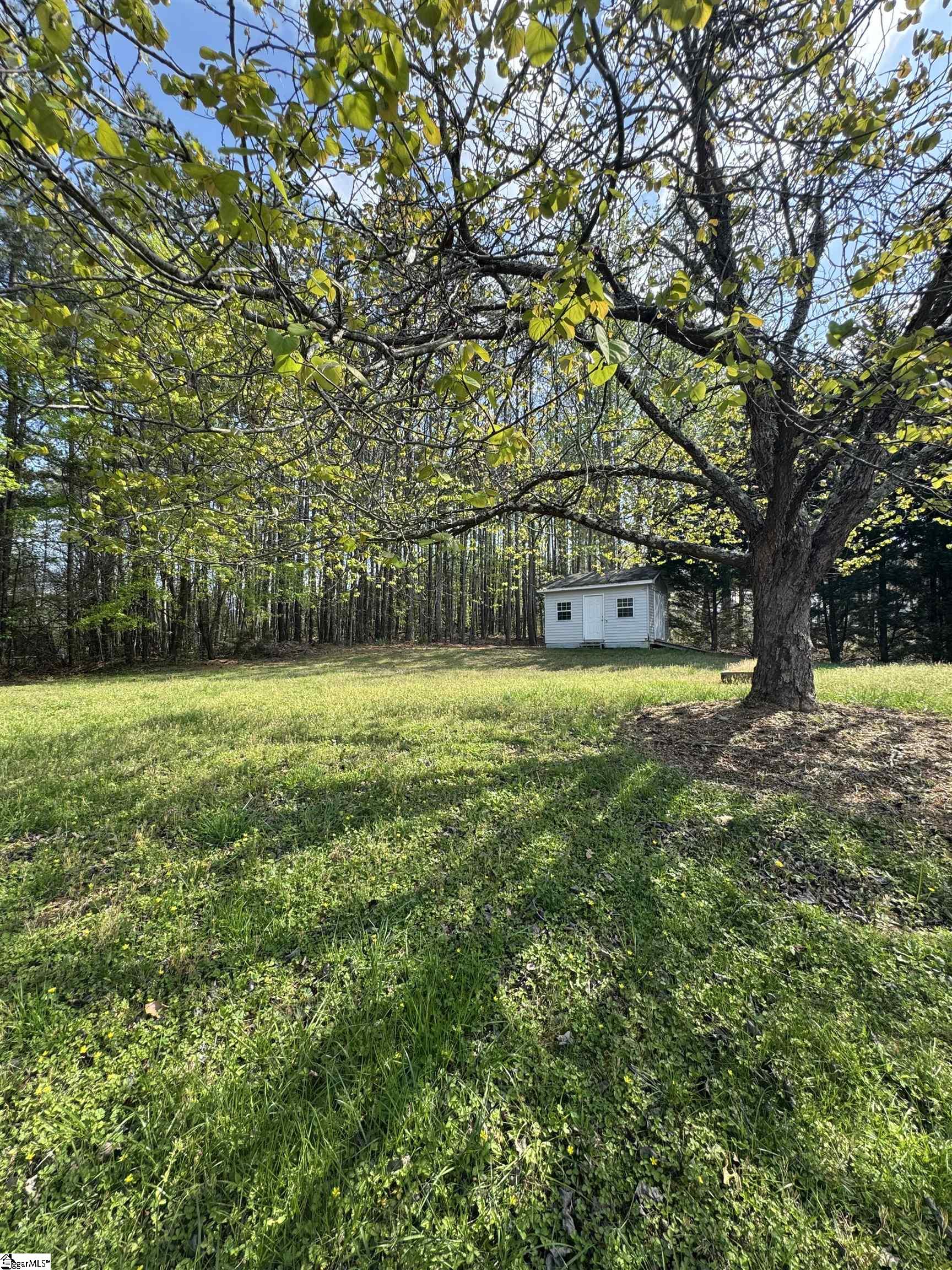 101 Long View Lane Pickens, SC 29671 - Photo 33 of 33