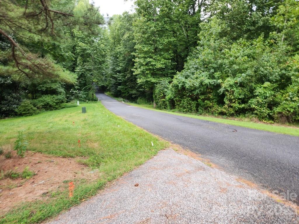 360 Hooper Creek Road Tryon, NC 28782 - Photo 14 of 38 a view of a yard with a tree