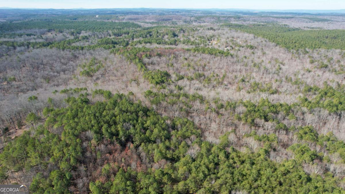 1 Bozeman Road White, GA 30184 - Photo 21 of 29