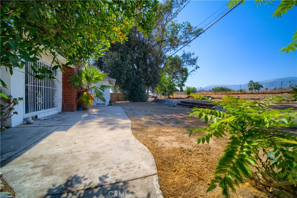 6083 Merito Avenue San Bernardino, CA 92404 - Photo 15 of 17 a view of a backyard with large trees