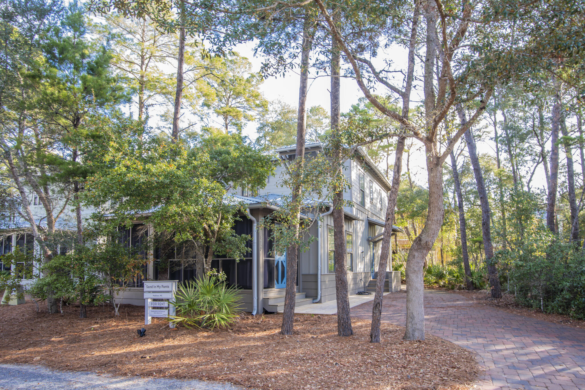 973 Patina Blvd Inlet Beach Inlet Beach, FL 32461 - Photo 1 of 30 a view of a road with plants and trees