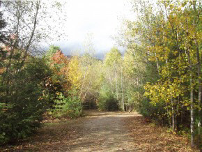 15 Bald Mt Road Rumney, NH 03266 - Photo 3 of 4