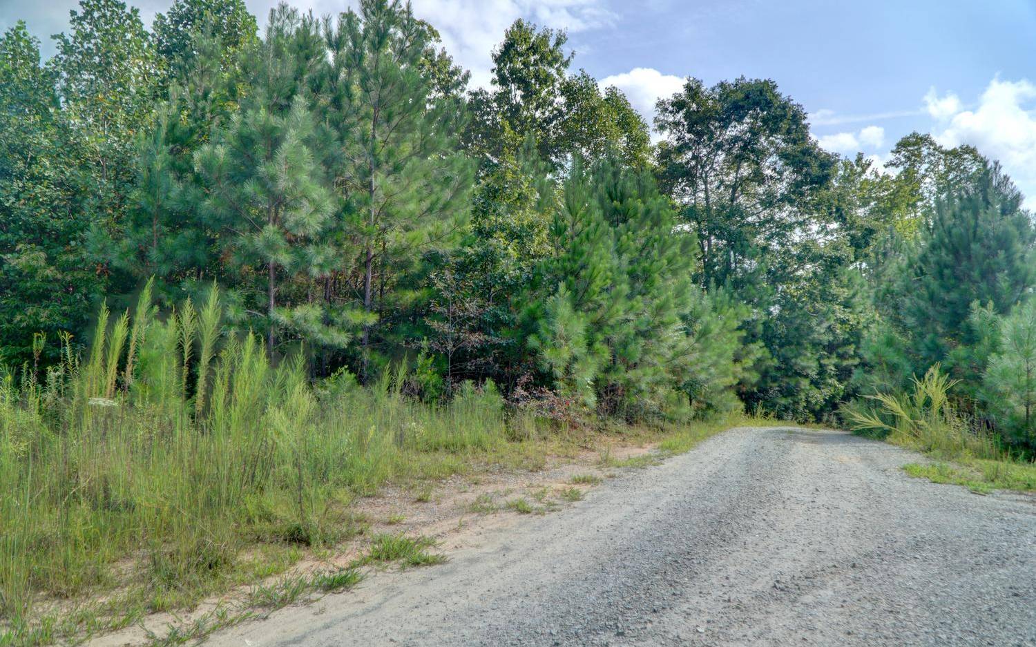 15.78 Parksbrook Road Ellijay, GA 30540 - Photo 2 of 4 Additional View