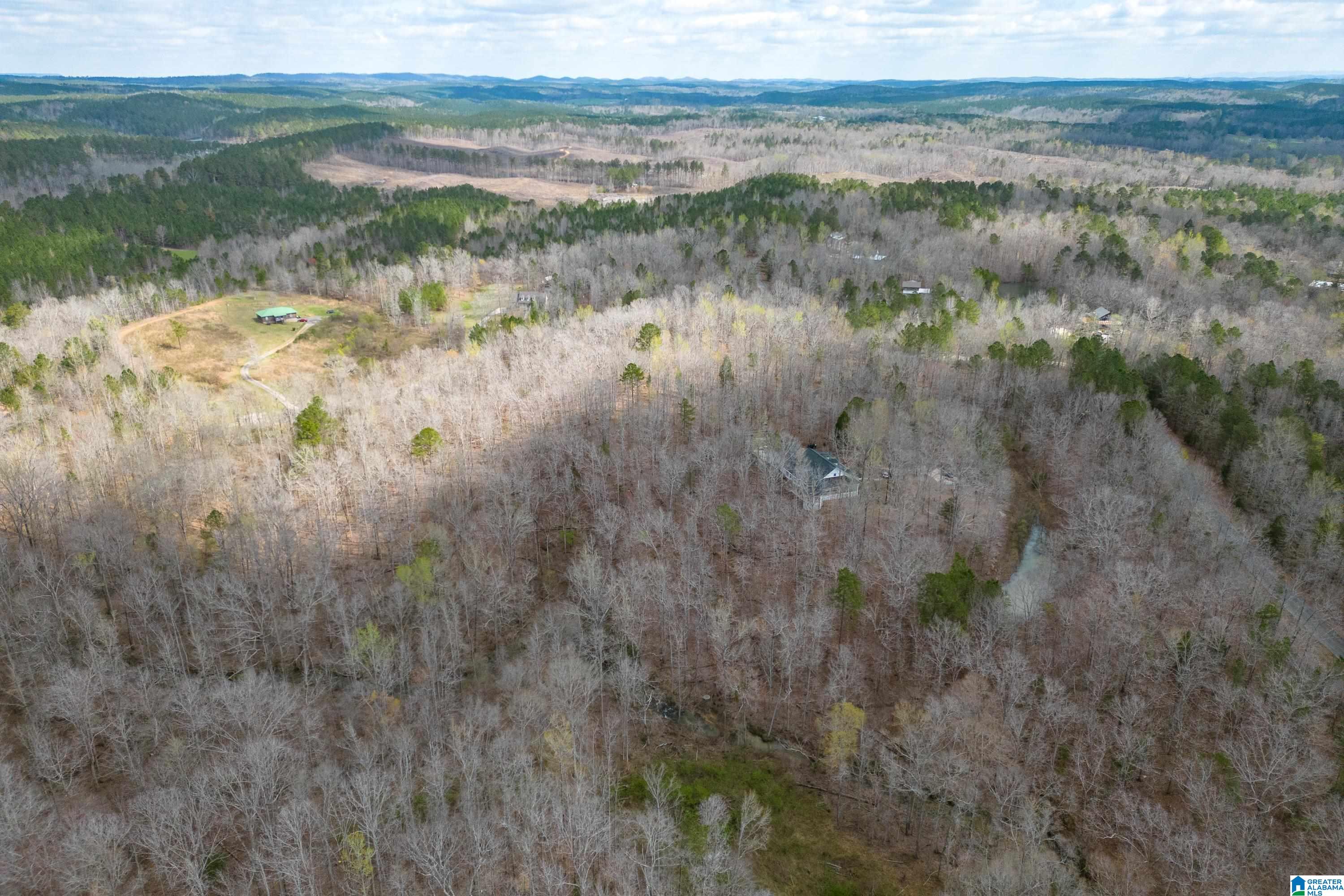 707 Turkey Ridge Road Ragland, AL 35131 - Photo 68 of 68
