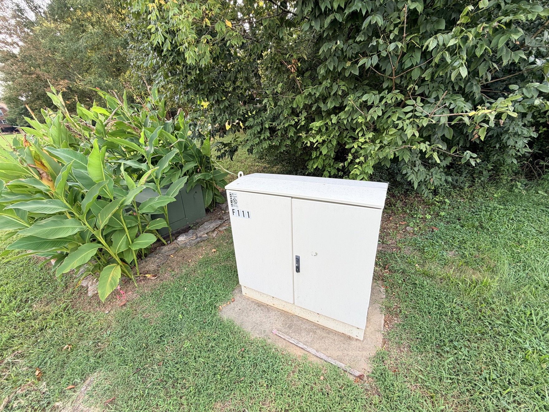 Gallery Image 7