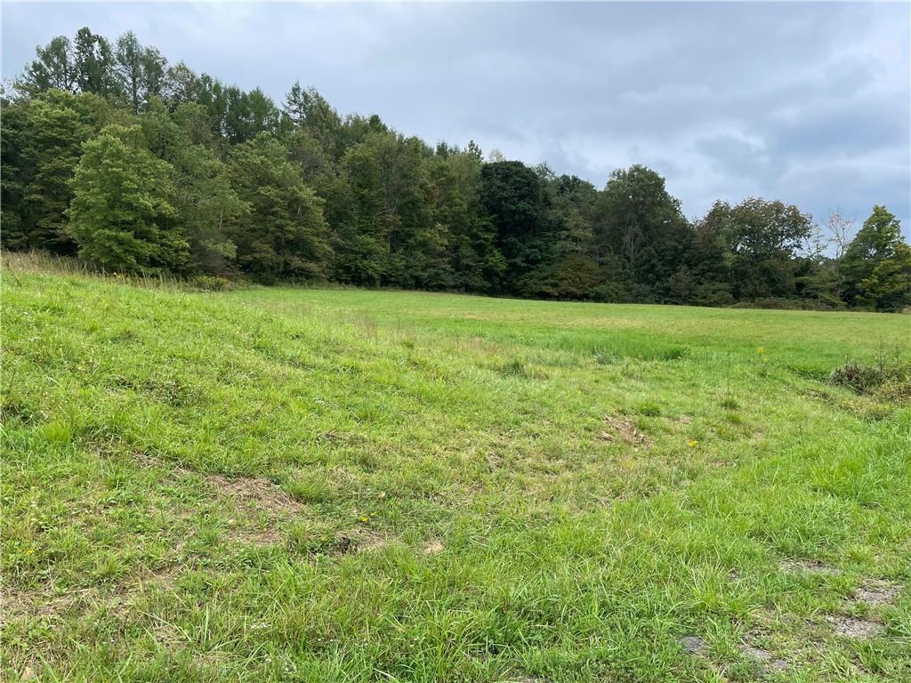 686 Cherry Run Road Shelocta, PA 15774 - Photo 24 of 25 Gallery Image 24