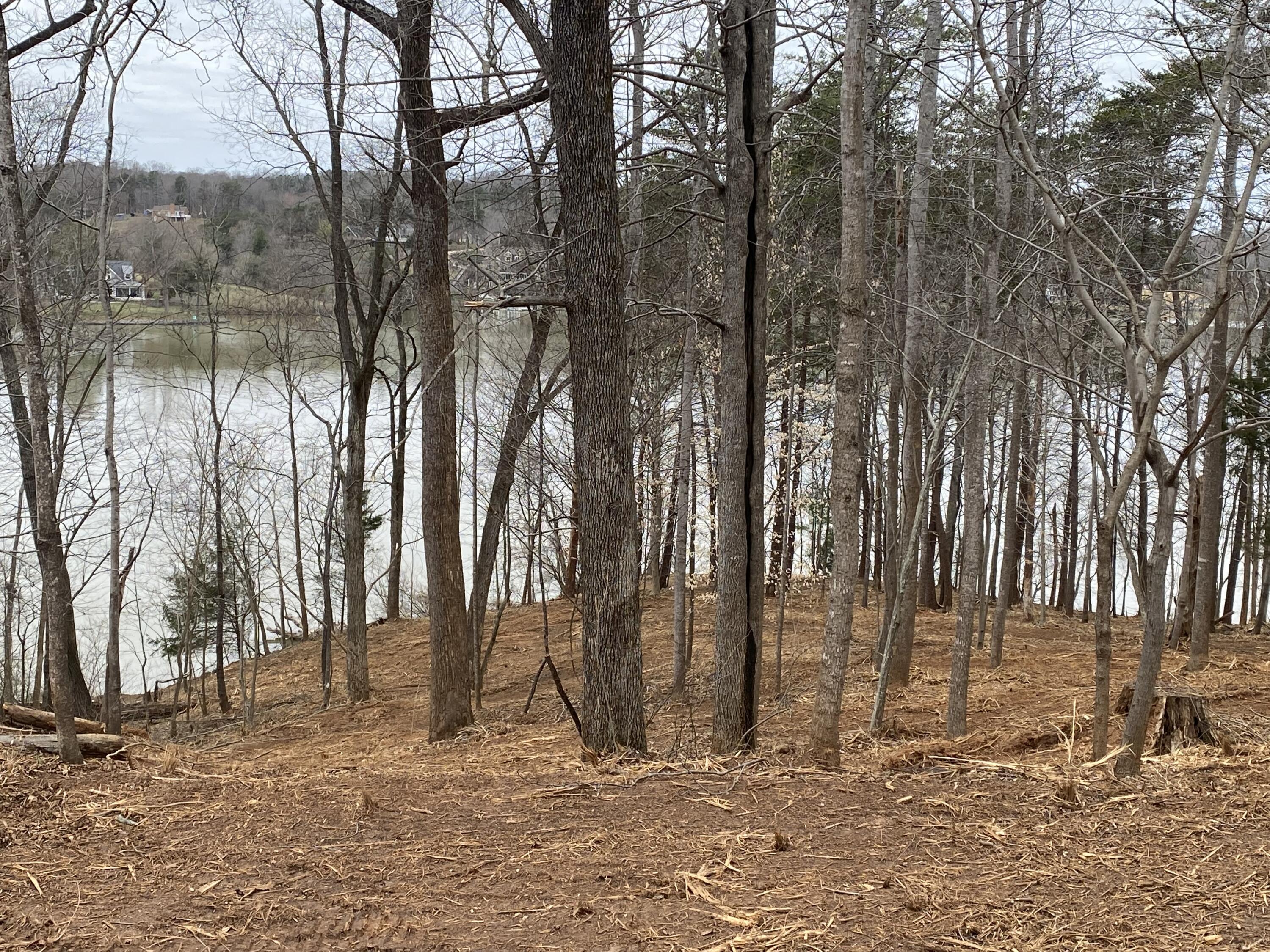 a view of a outdoor space with trees