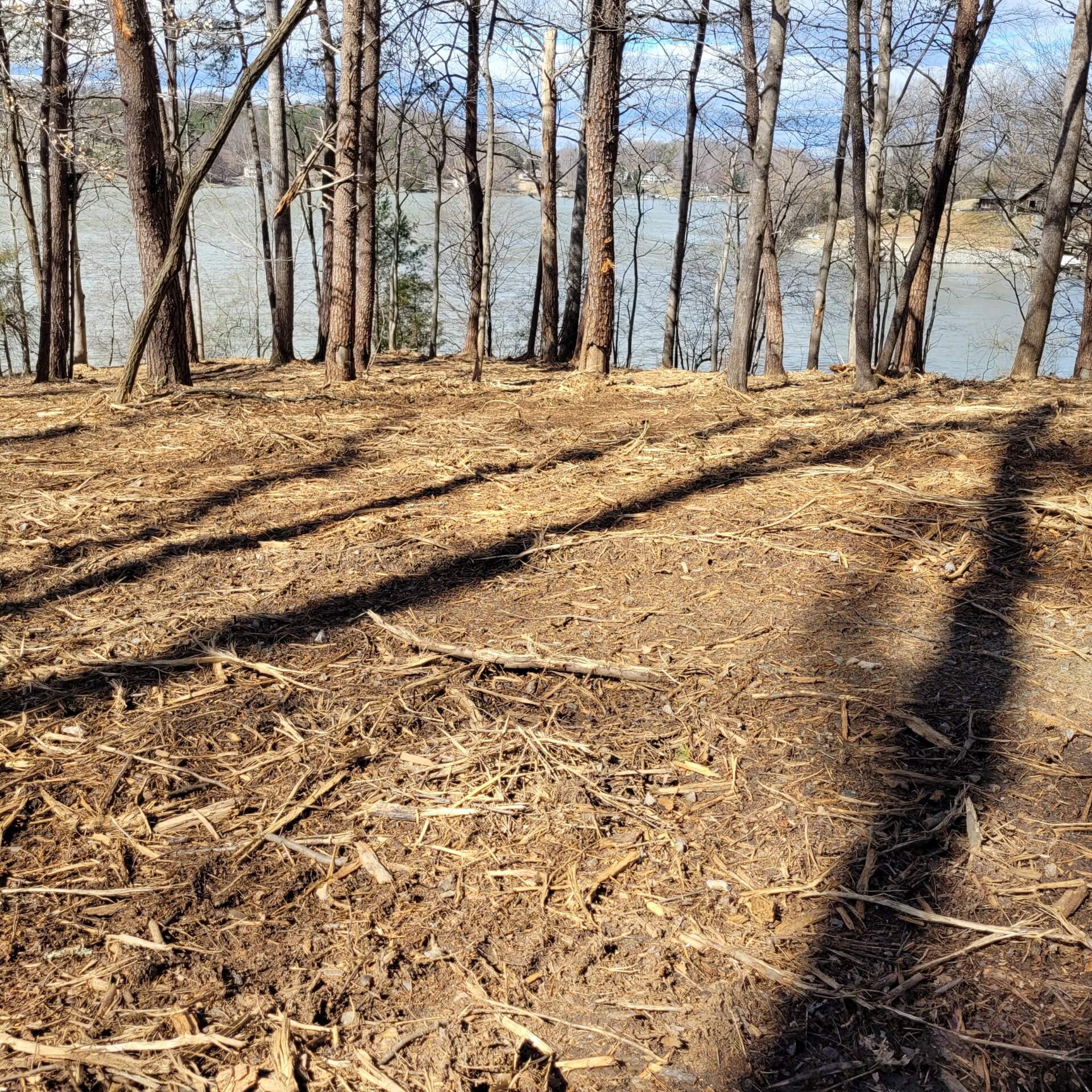 Lot 27 Water Edge Pointe Point Goodview, VA 24095 - Photo 4 of 23 a view of a backyard of a house