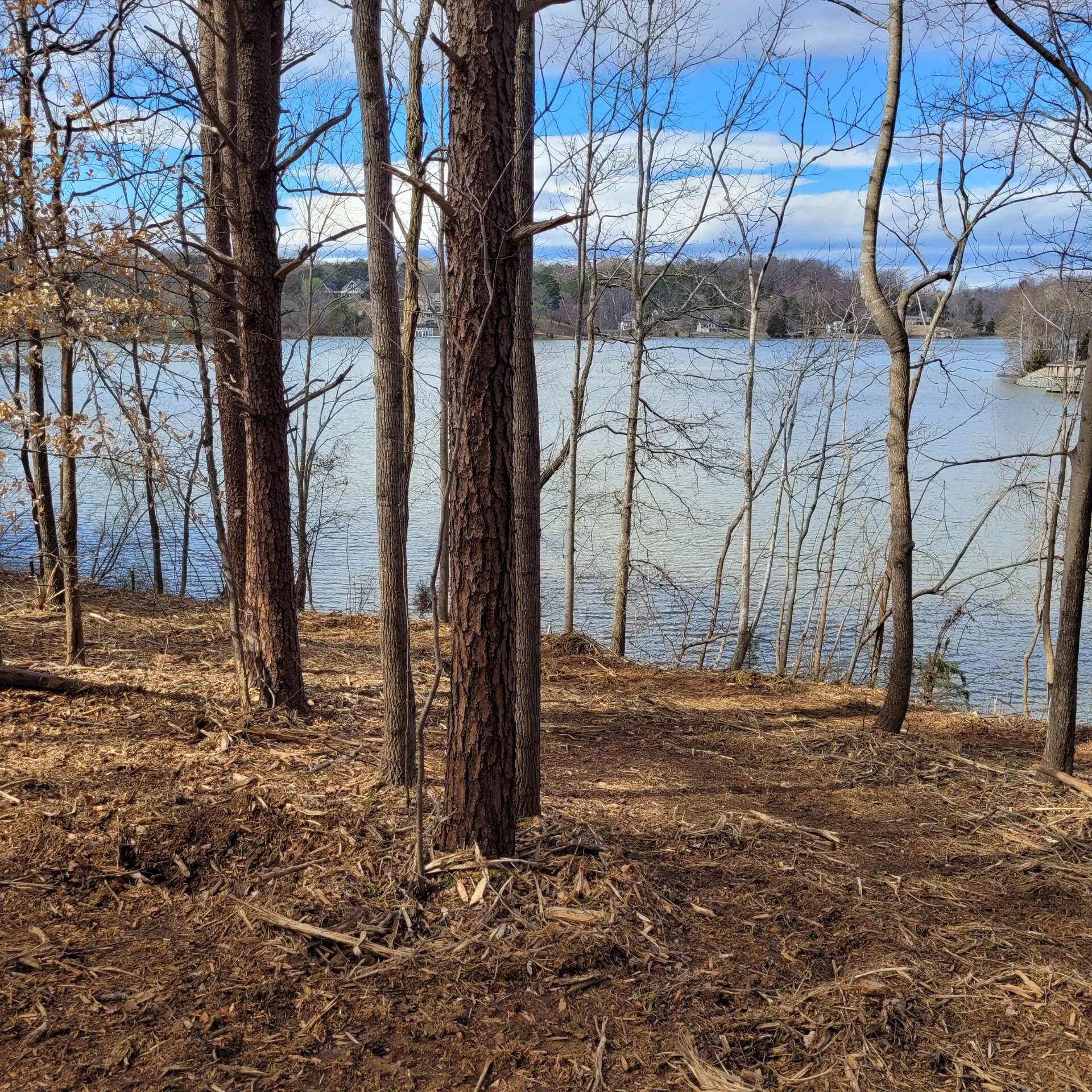 Lot 27 Water Edge Pointe Point Goodview, VA 24095 - Photo 5 of 23 a view of a backyard of the house