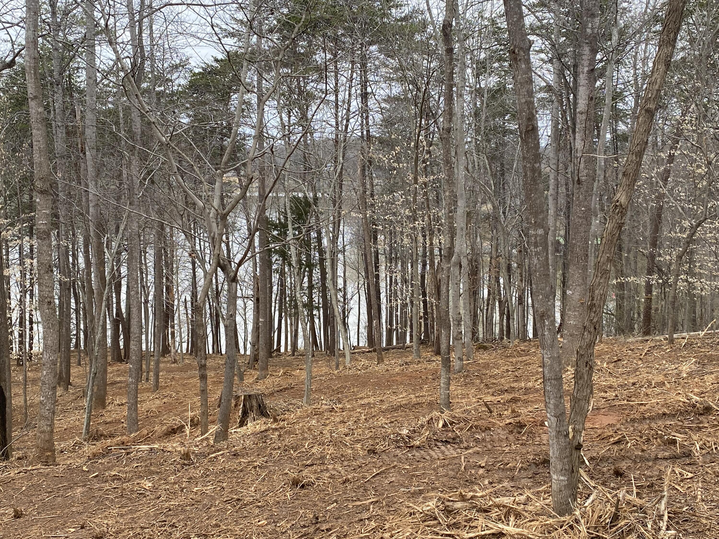 Lot 27 Water Edge Pointe Point Goodview, VA 24095 - Photo 6 of 23 a backyard of a house with lots of green space