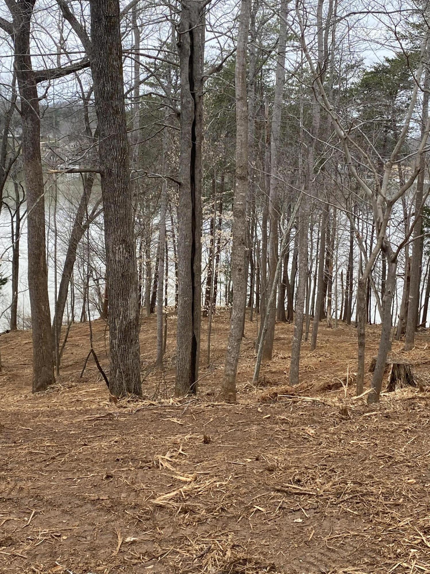 Lot 27 Water Edge Pointe Point Goodview, VA 24095 - Photo 7 of 23 a backyard of a house with lots of green space