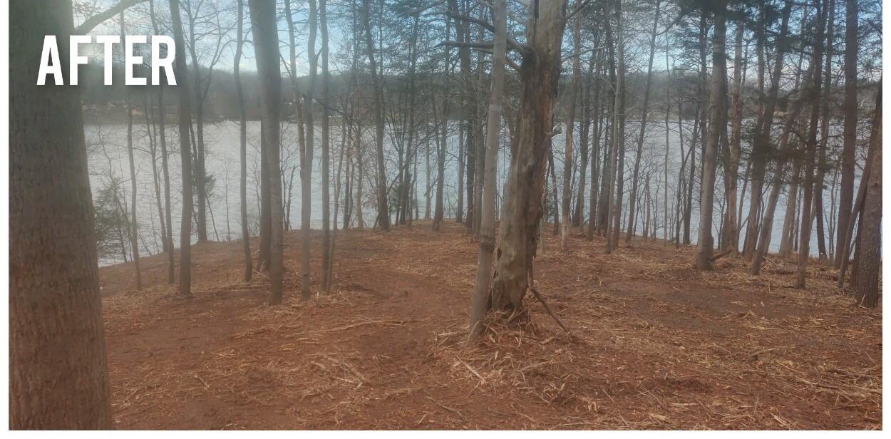 Lot 27 Water Edge Pointe Point Goodview, VA 24095 - Photo 8 of 23 a view of backyard with green space