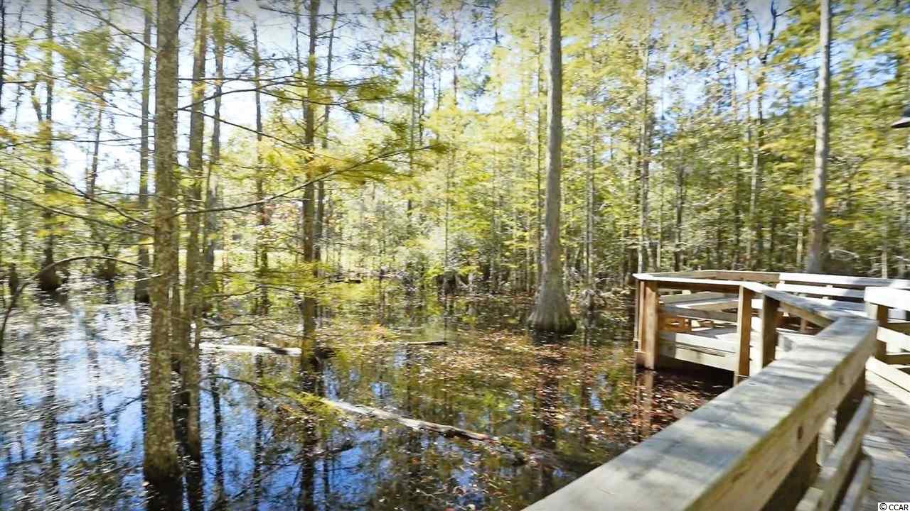 3013 Purity Place Loop Murrells Inlet, SC 29576 - Photo 6 of 8 Gallery Image 6
