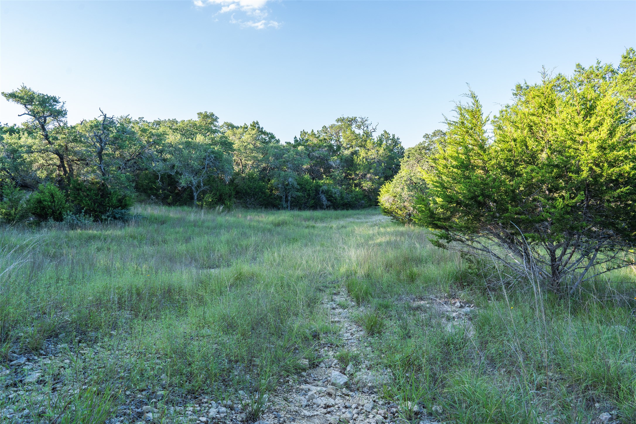 Tbd Crabapple Road Blanco, TX 78606 - Photo 2 of 17