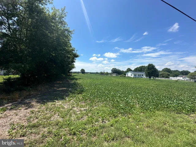 $174,000 | Unknown Clayton Avenue, Frankford, DE 19945