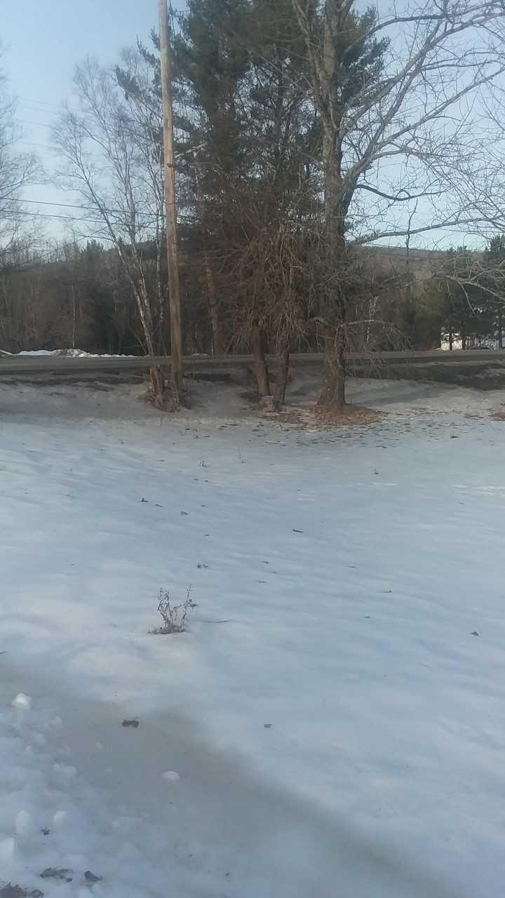 645 Garland Road Dexter, ME 04930 - Photo 4 of 23 645-4