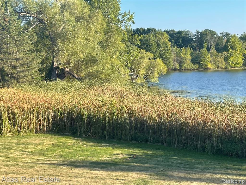 9150 Perry Road Atlas, MI 48411 - Photo 10 of 24