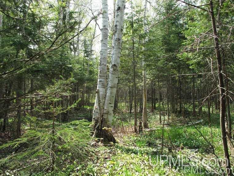 Tbd West Ridge Road Grand Marais, MI 49839 - Photo 12 of 12 Gallery Image 12