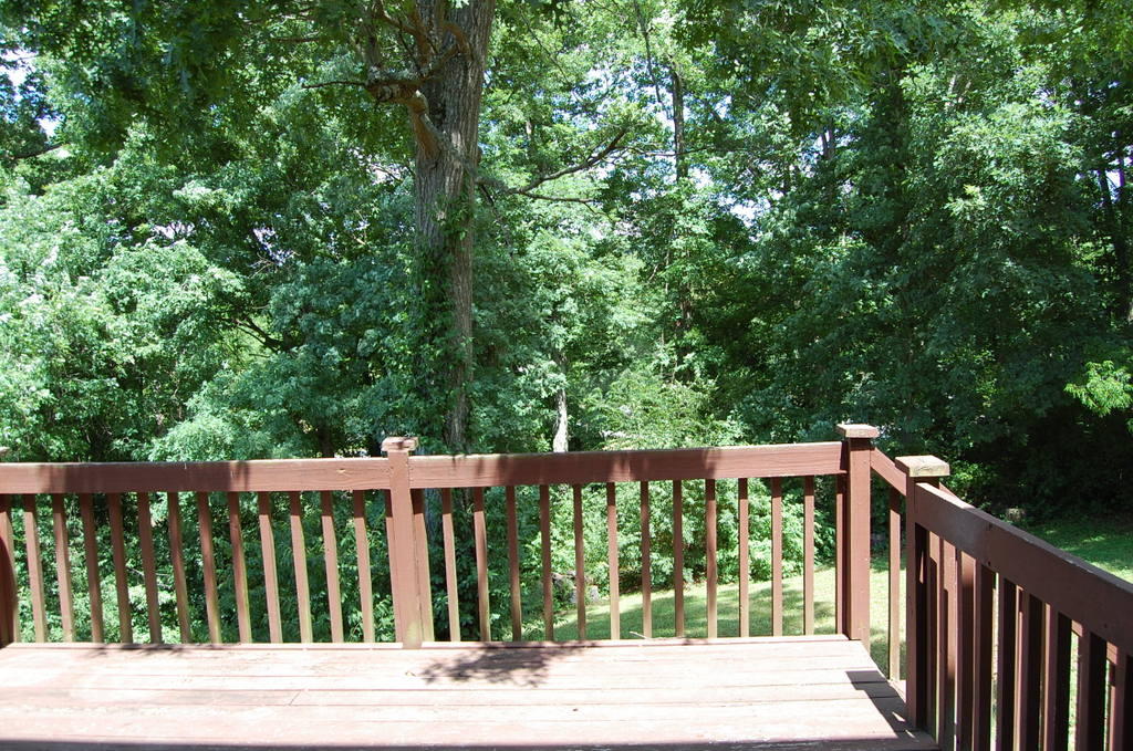 1021 Pintail Road Knoxville, TN 37934 - Photo 17 of 19 Back yard/Deck