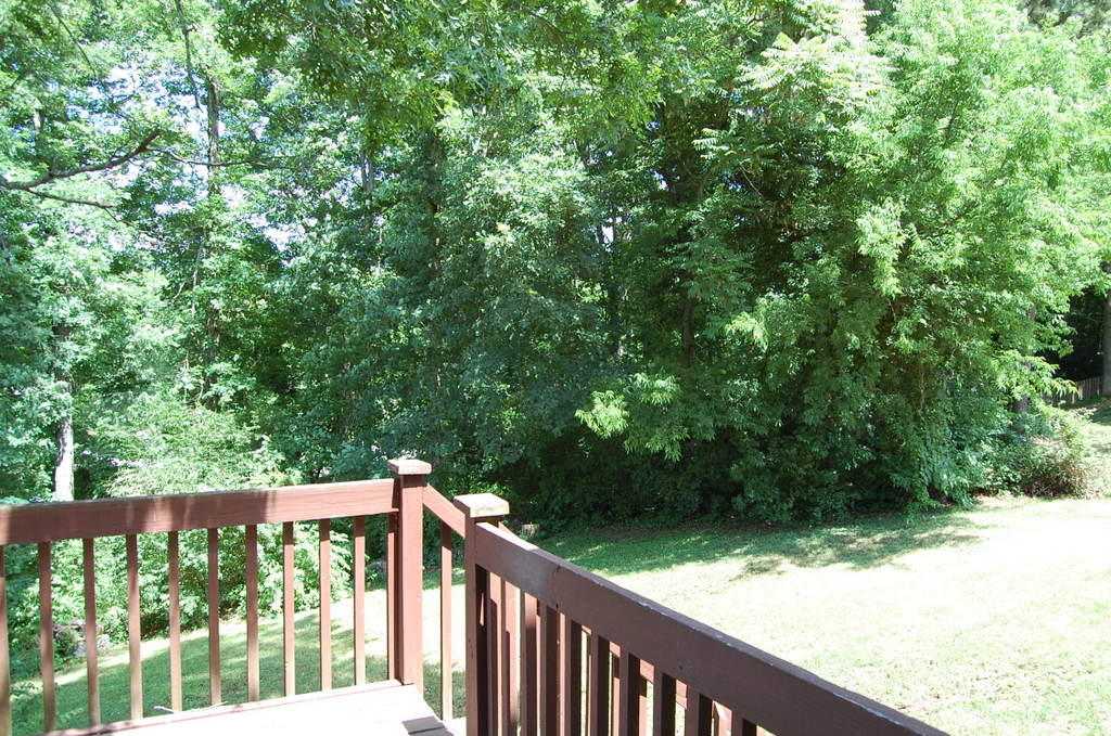 1021 Pintail Road Knoxville, TN 37934 - Photo 18 of 19 Back yard