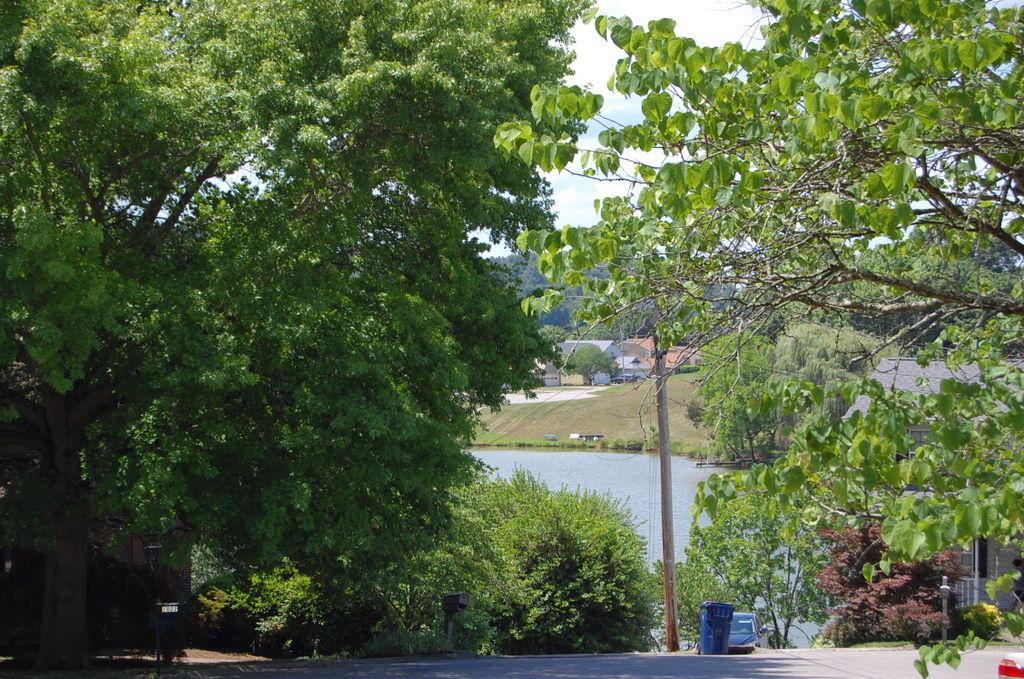 1021 Pintail Road Knoxville, TN 37934 - Photo 19 of 19 Water Views