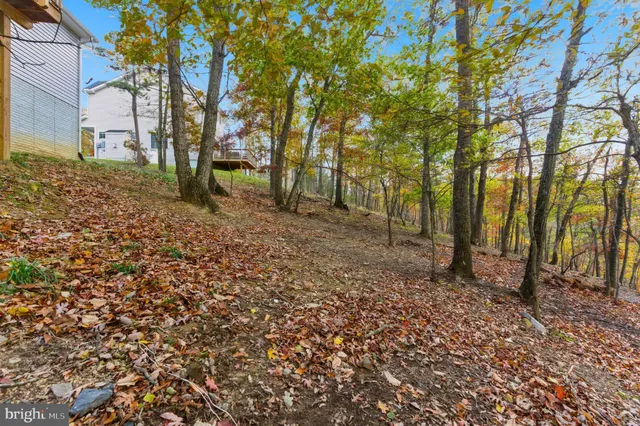 a backyard of a house with lots of green space