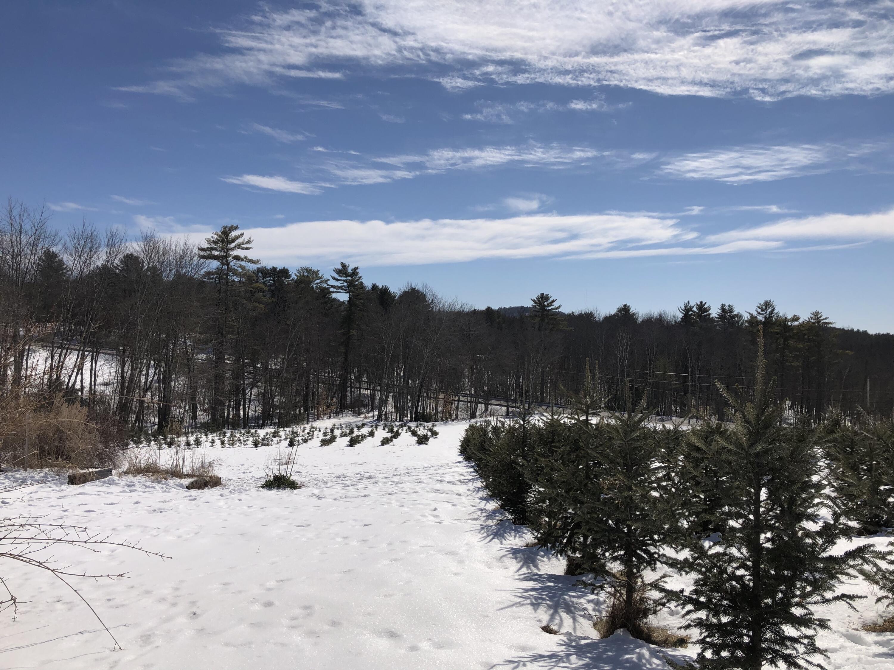 38 Burgess Road Casco, ME 04015 - Photo 19 of 66 Backyard