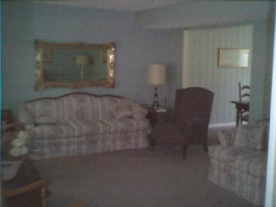 629 Squires Road Lexington, KY 40515 - Photo 6 of 7 View from foyer into living room.