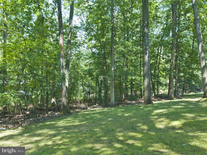 56 Lochatong Road Ewing, NJ 08628 - Photo 22 of 22