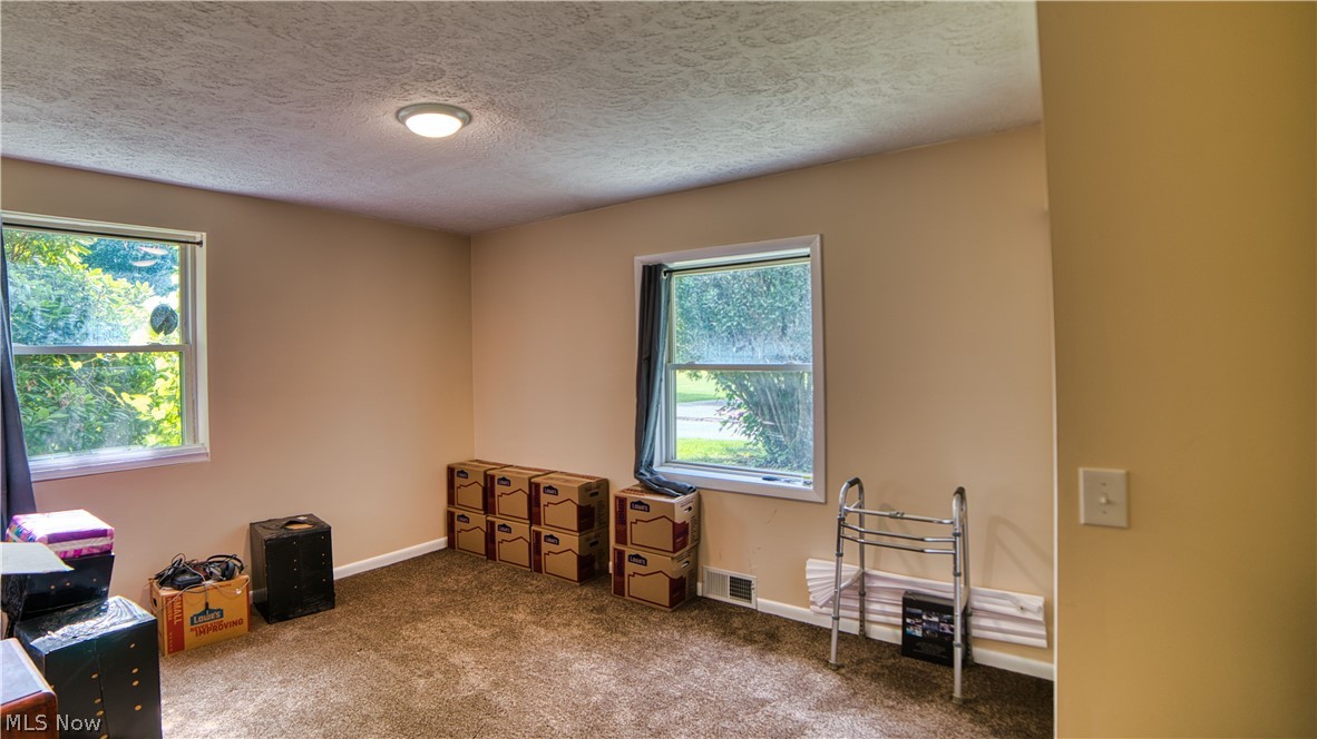 160 Welton Road Conneaut, OH 44030 - Photo 12 of 16 Miscellaneous room with dark colored carpet and a textured ceiling