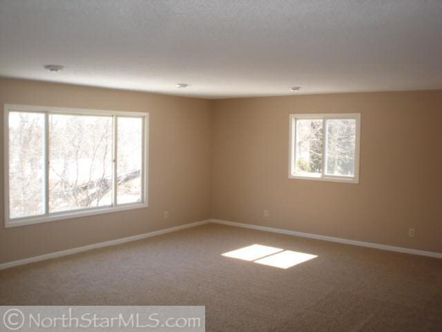 41267 165th Avenue Avon, MN 56310 - Photo 3 of 16 Gallery Image 3