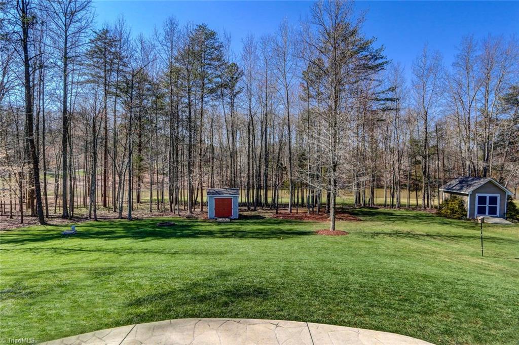 7085 Lanier Road Summerfield, NC 27358 - Photo 26 of 30 Backyard and storage building