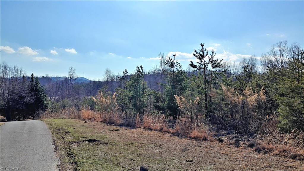 0 McKinney Road Mount Airy, NC 27030 - Photo 1 of 9 Gallery Image 1