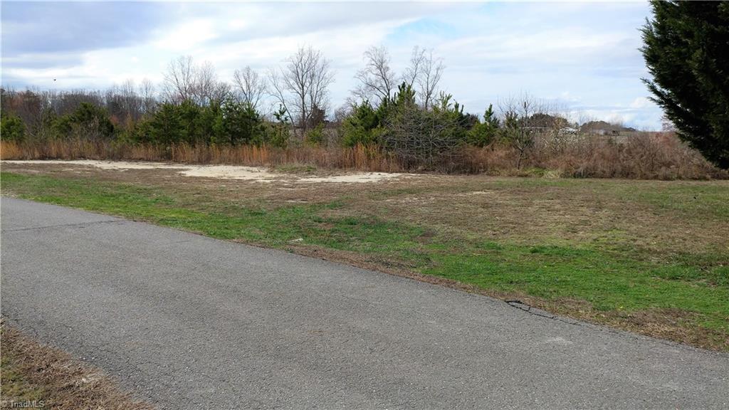 0 McKinney Road Mount Airy, NC 27030 - Photo 4 of 9 Gallery Image 4