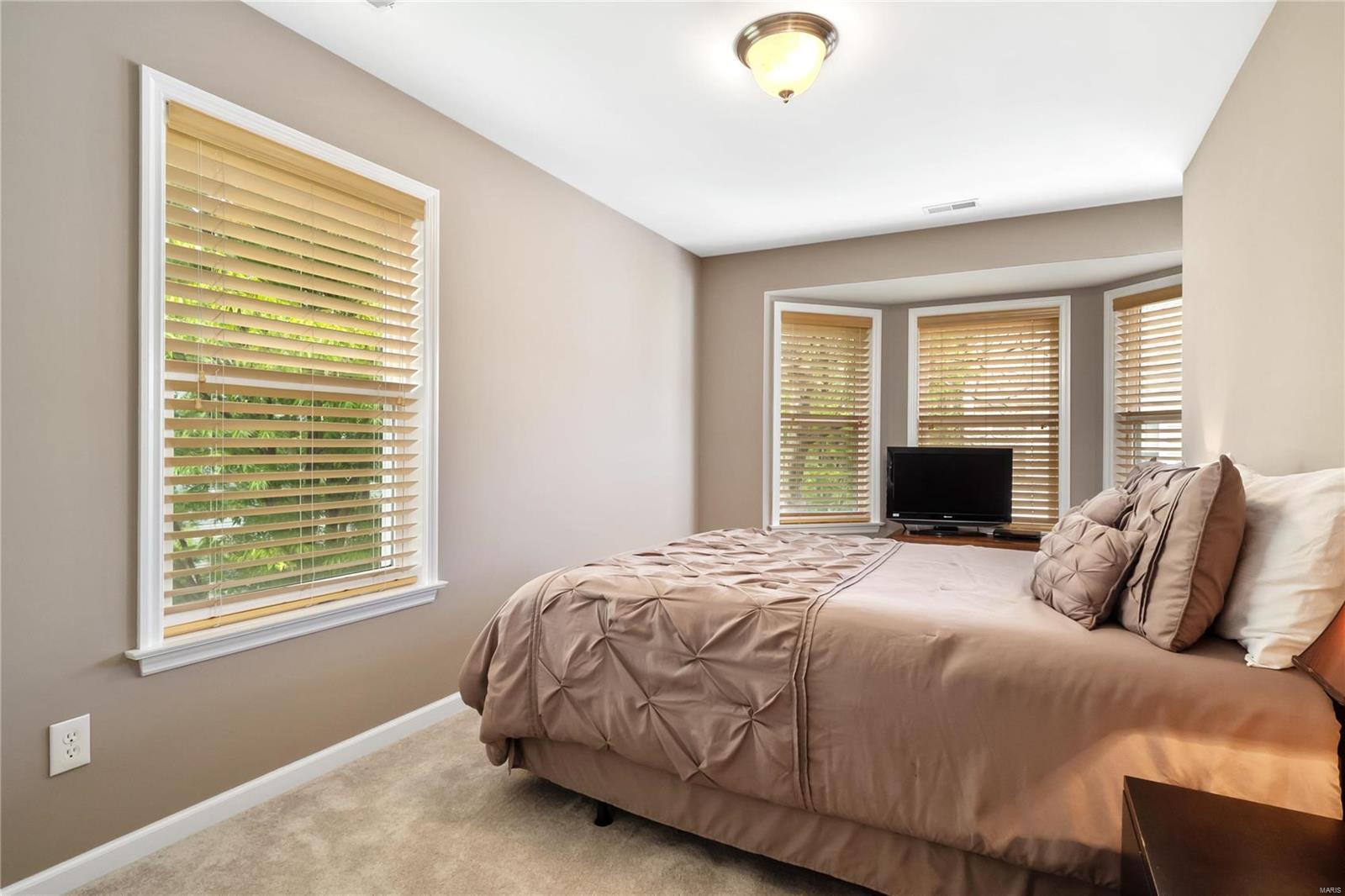 419 South Geyer Road, Unit 5 St. Louis, MO 63122 - Photo 12 of 22
