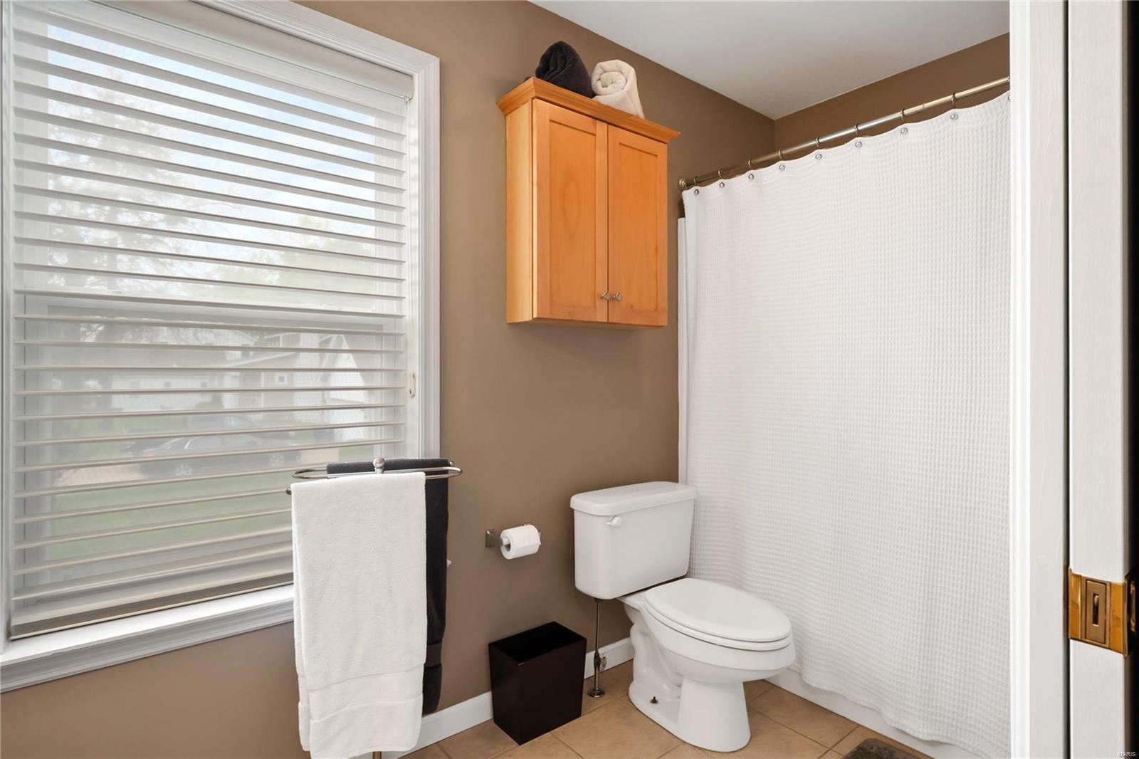 419 South Geyer Road, Unit 5 St. Louis, MO 63122 - Photo 15 of 22