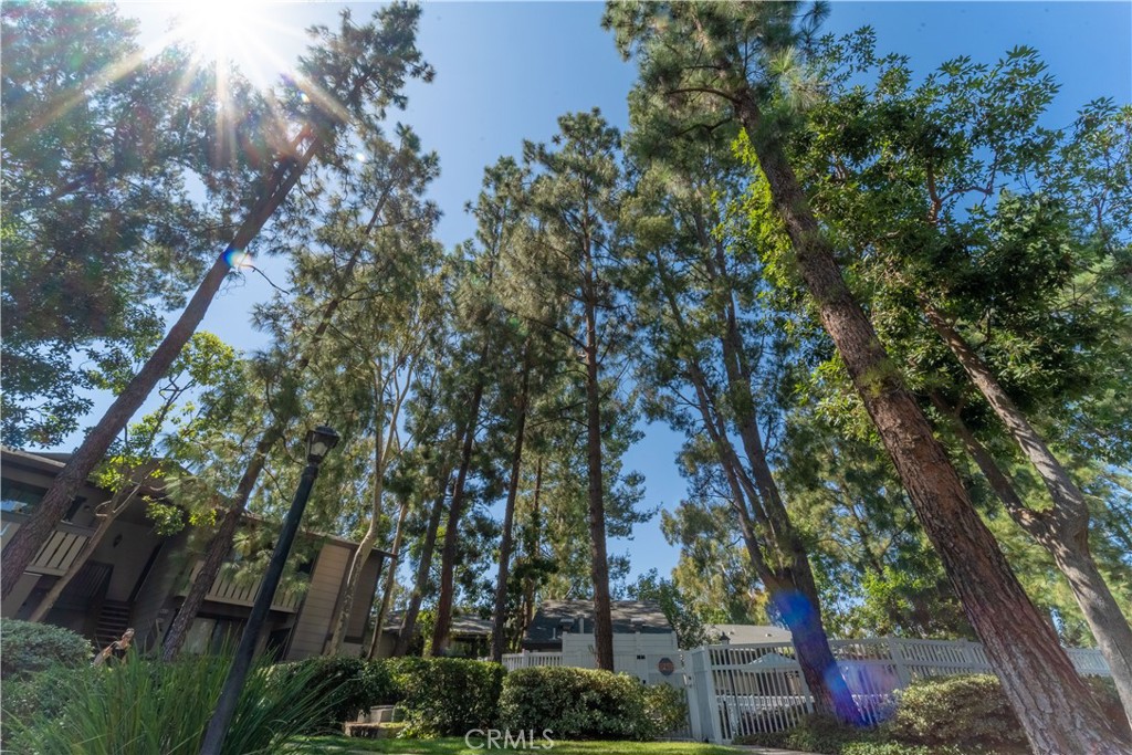 20702 El Toro Road, Unit 413 Lake Forest, CA 92630 - Photo 18 of 29 an outdoor space with lots of trees