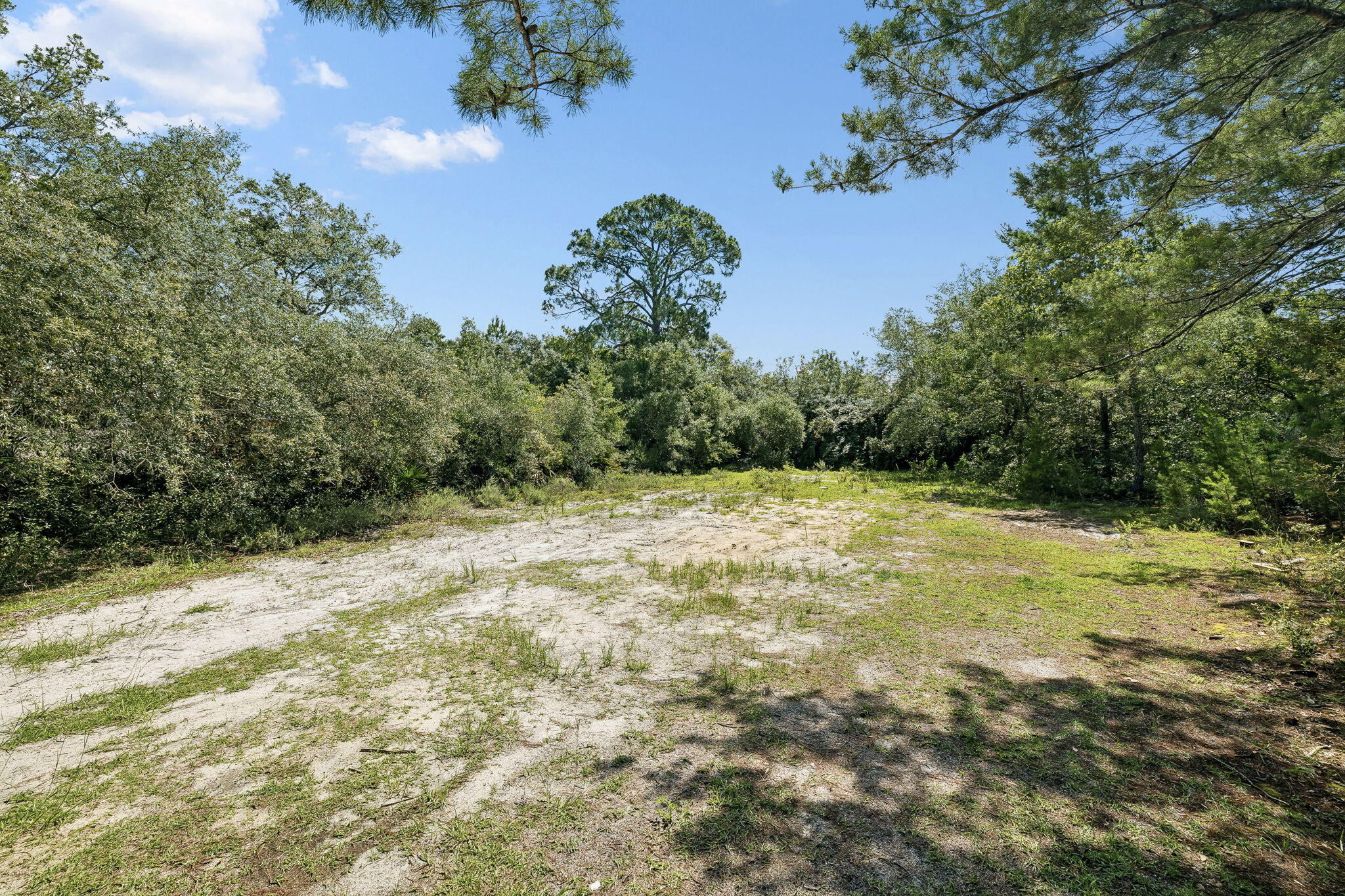Tbd Barcelona Avenue Santa Rosa Beach, FL 32459 - Photo 7 of 27 a view of a yard with a tree