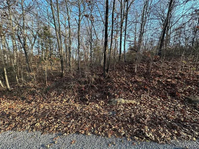 $45,000 | 20 Wagon Creek Loop, Creal Springs, IL 62922