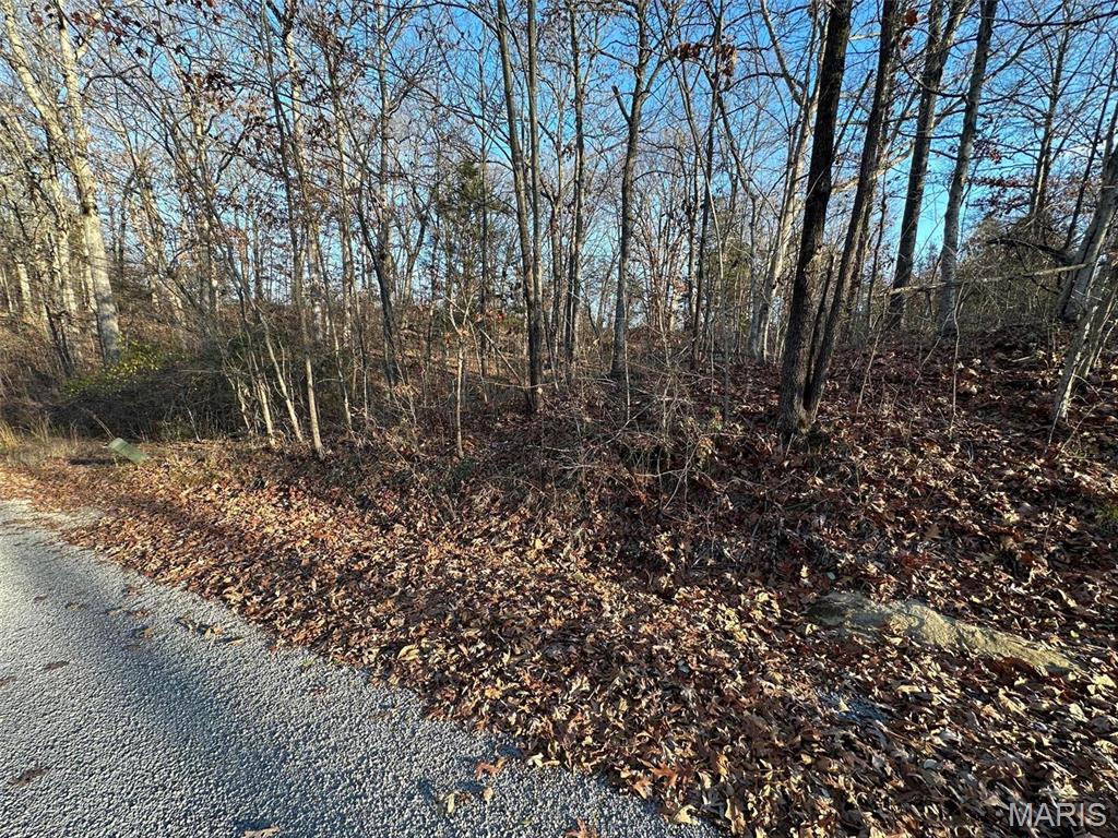 20 Wagon Creek Loop Creal Springs, IL 62922 - Photo 2 of 3