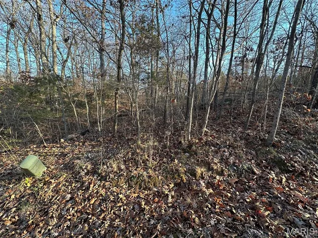 $45,000 | 20 Wagon Creek Loop, Creal Springs, IL 62922