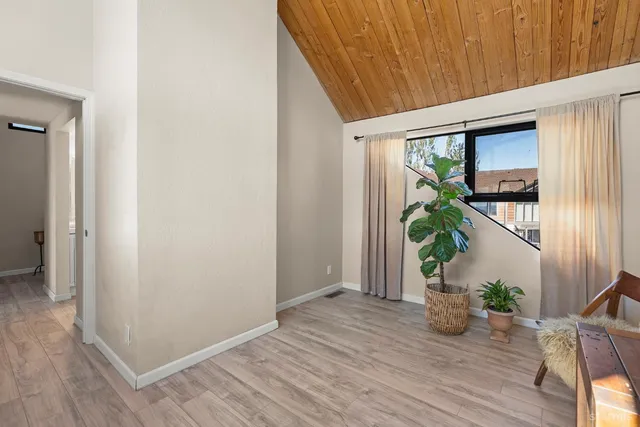 a living room with furniture and a potted plant