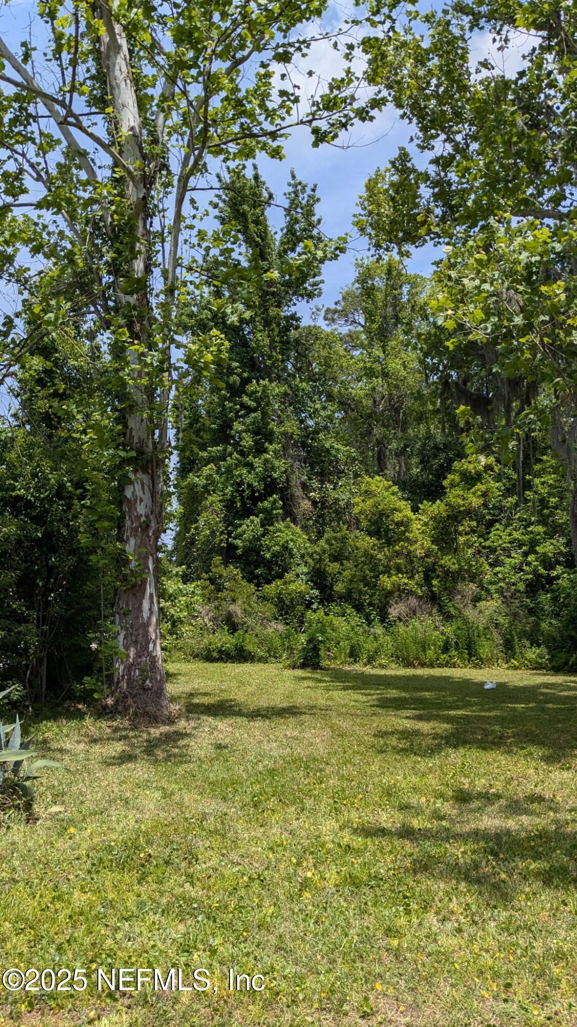 0 Girvin Road Jacksonville, FL 32225 - Photo 3 of 4 Lot View 3