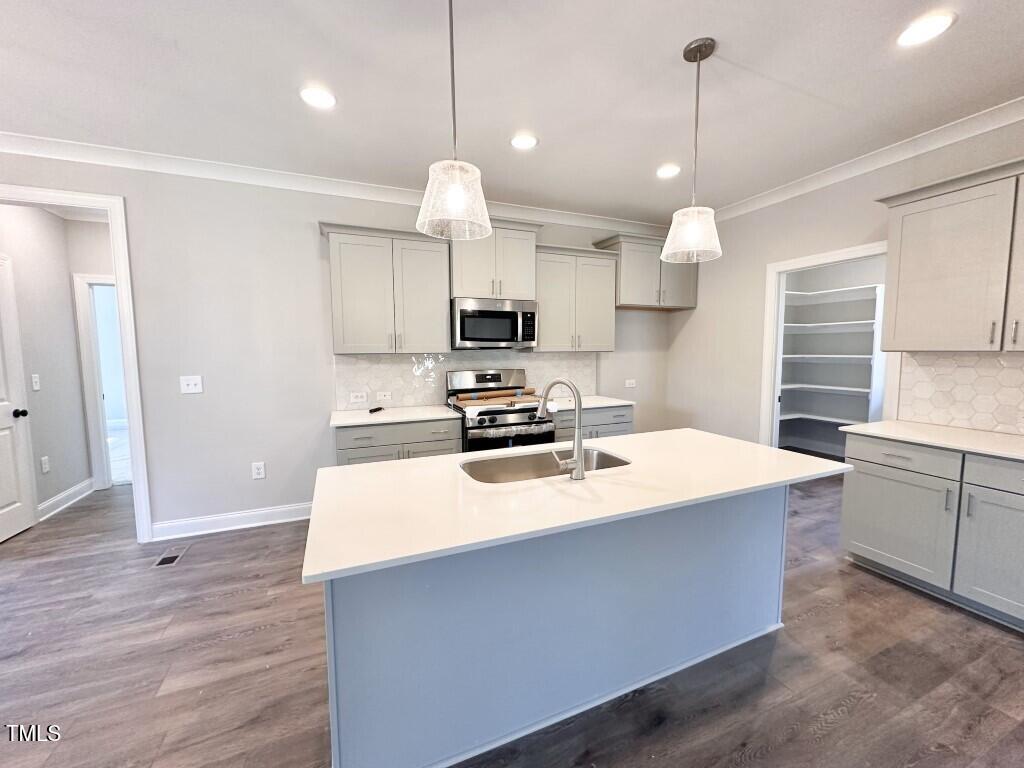 1345 Wiley Road Spring Hope, NC 27882 - Photo 3 of 15 a large kitchen with cabinets a sink and a stove