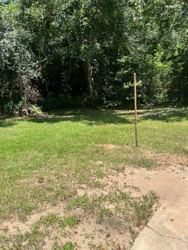 7329 Twin Beech Road Fairhope, AL 36532 - Photo 14 of 16 Yard